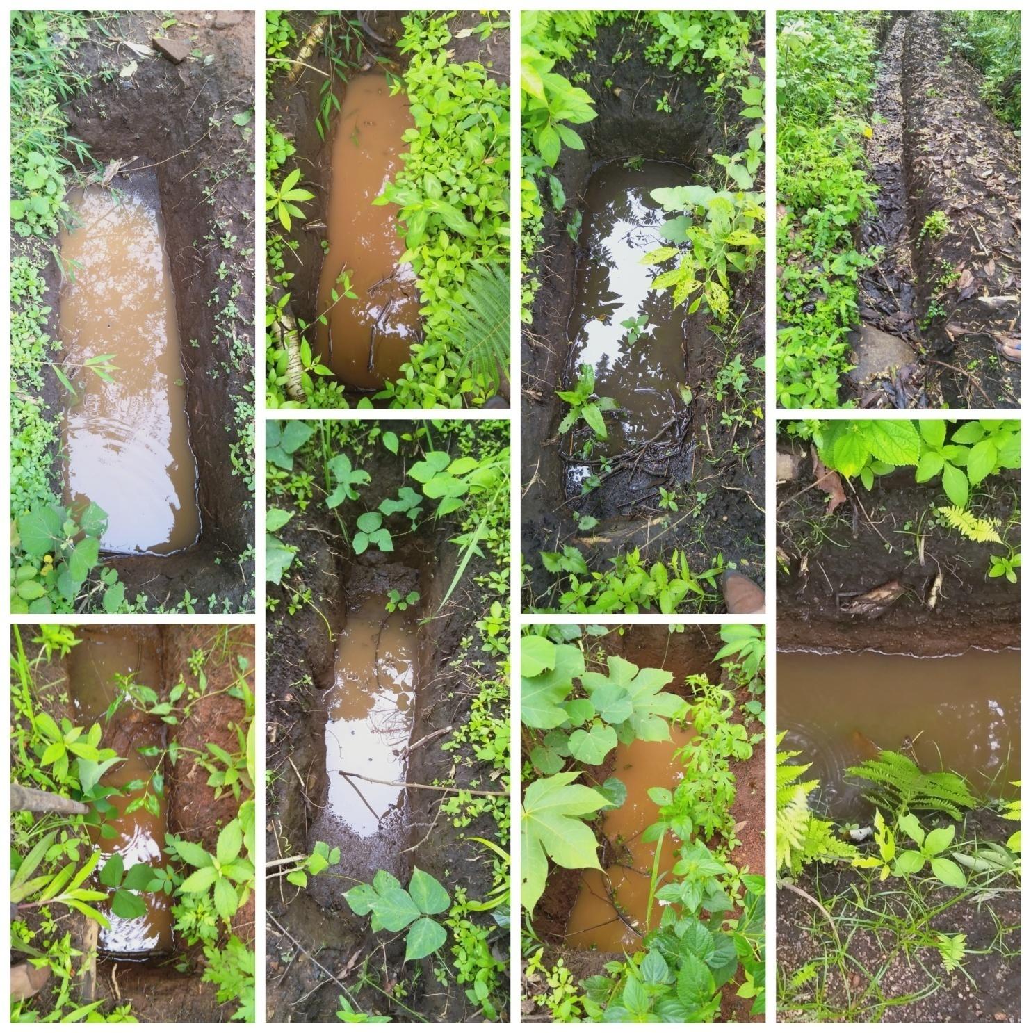 CollageMaker_20200628_160043178.jpg